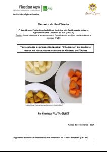 Tests pilotes et propositions pour l’intégration de produits locaux en restauration scolaire en Guyane de l’Ouest