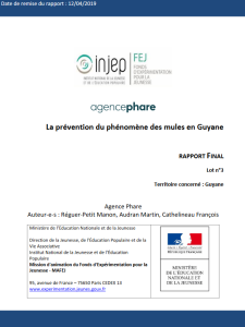 La prévention du phénomène des mules en Guyane. Rapport Final