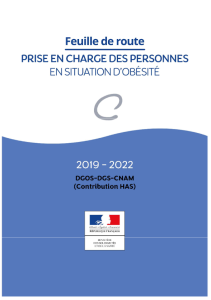 Feuille de route « Prise en charge de l’obésité 2019-2022 »