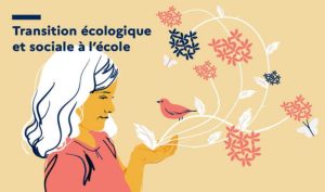 Transition écologique : des ressources pédagogiques et des formations pour une éducation au développement durable (EDD)