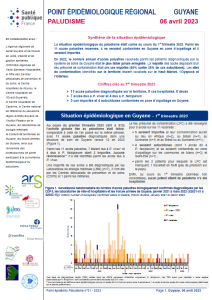 Paludisme. Point épidémiologique Guyane. 6 avril 2023