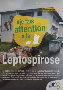 #je fais attention à la Leptospirose