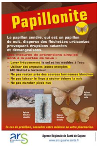 Papillonite [recommandations]