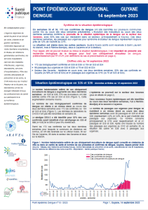 Dengue. Point épidémiologique Guyane. 14 septembre 2023