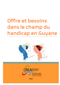 Offre et besoins dans le champ du handicap en Guyane