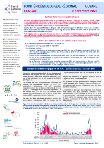 Dengue. Point épidémiologique Guyane. 9 novembre 2023