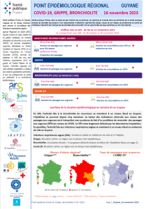 Covid-19, Grippe, Bronchiolite. Point épidémiologique Guyane. 16 novembre 2023