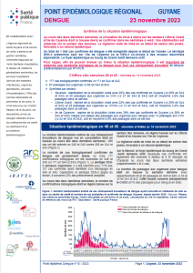 Dengue. Point épidémiologique Guyane. 23 novembre 2023